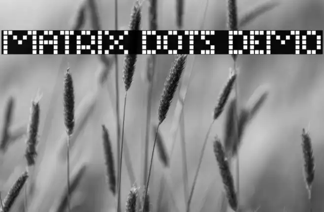 Matrix Dots Demo Example 1