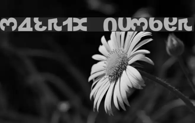 Matrix Number Font examples