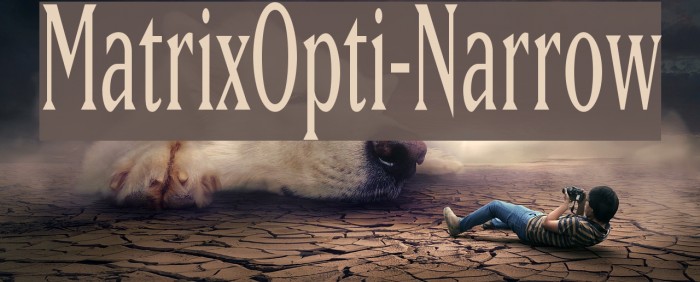 MatrixOpti-Narrow Example 2