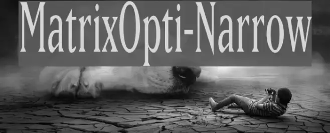 MatrixOpti-Narrow Example 2