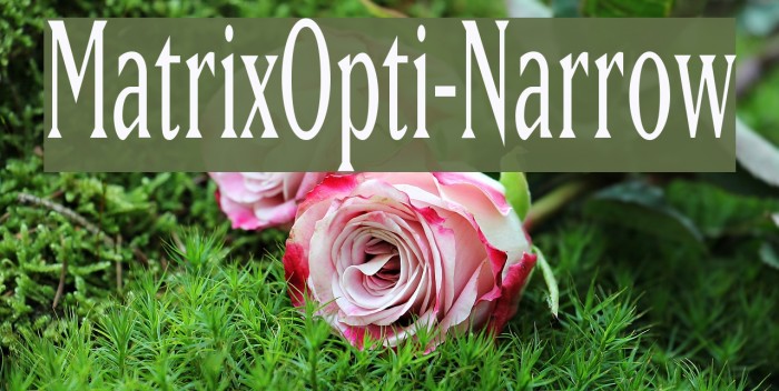 MatrixOpti-Narrow Example 3