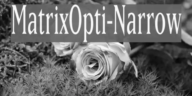 MatrixOpti-Narrow Example 3