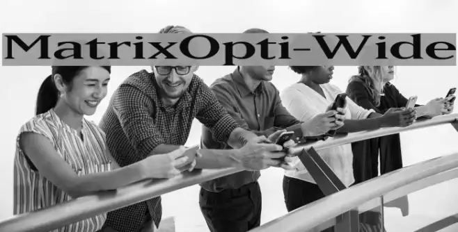 MatrixOpti-Wide Example 2