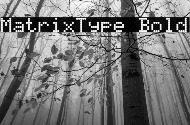 MatrixType Bold Font examples