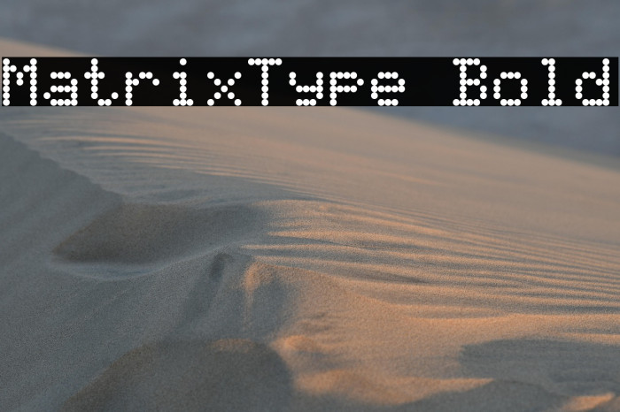MatrixType Bold Example 2
