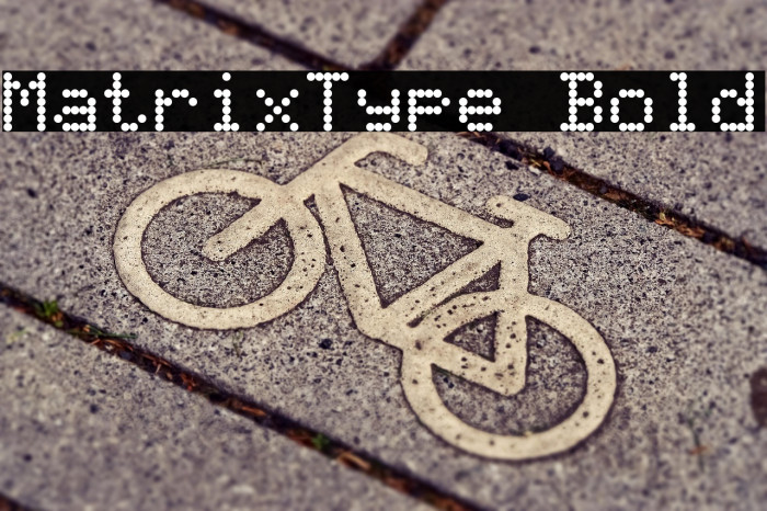 MatrixType Bold Example 3