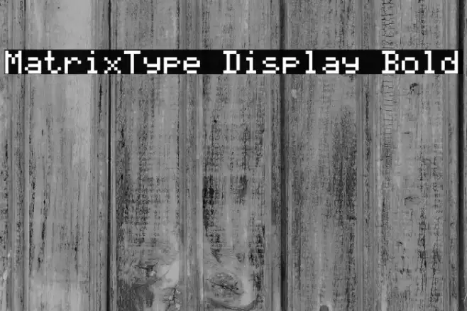 MatrixType Display Bold Example 1