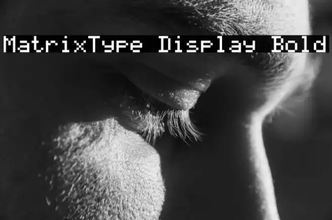 MatrixType Display Bold Example 2