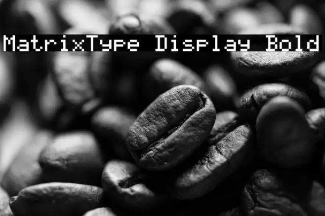 MatrixType Display Bold Example 3