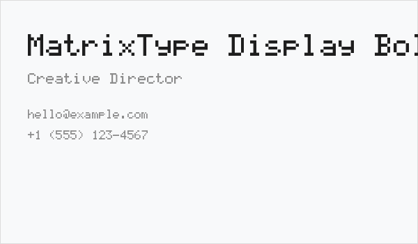 MatrixType Display Bold Business Card