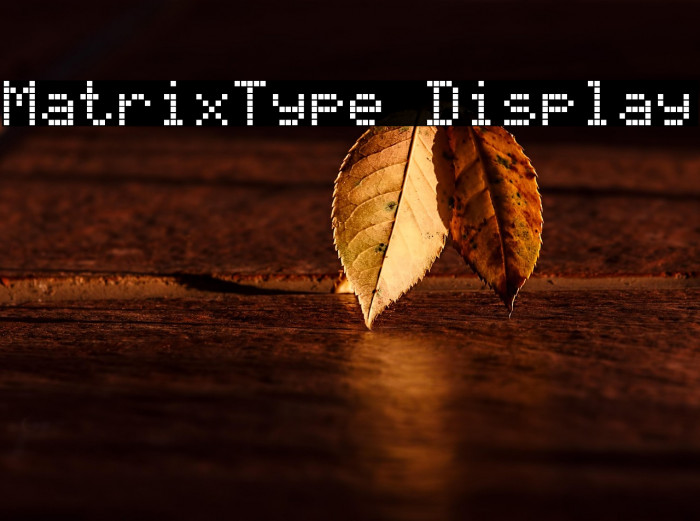 MatrixType Display Example 2