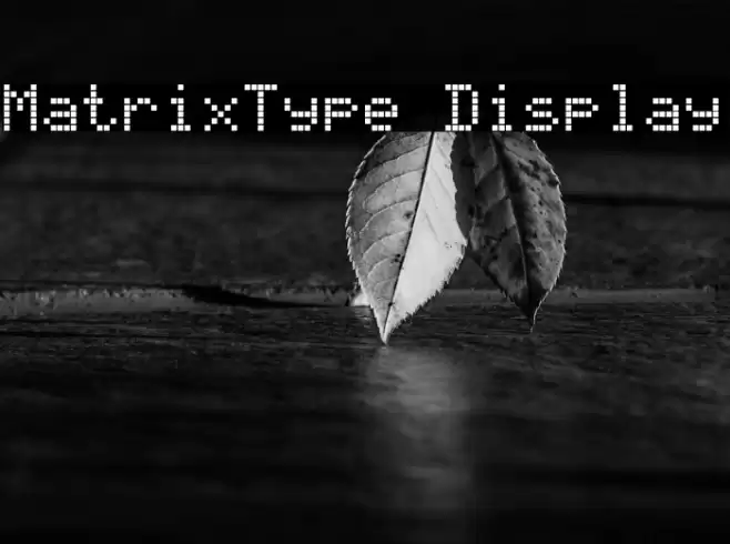 MatrixType Display Font examples