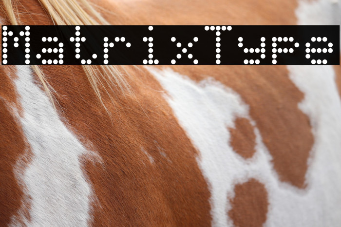 MatrixType Example 1