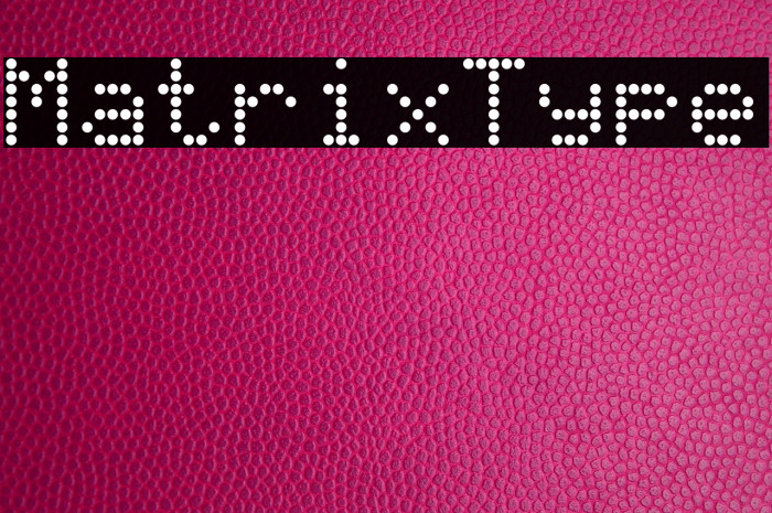 MatrixType Example 2