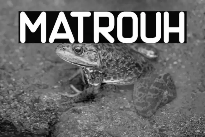 Matrouh Font examples