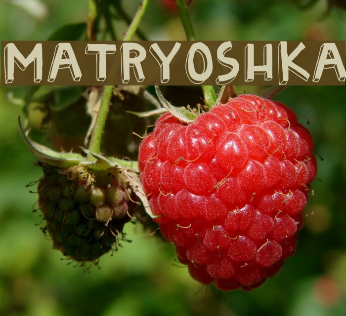 Matryoshka Font examples