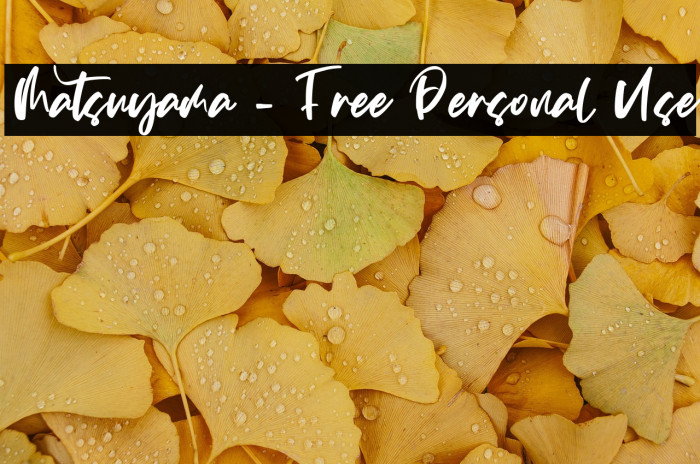 Matsuyama - Free Personal Use Example 1