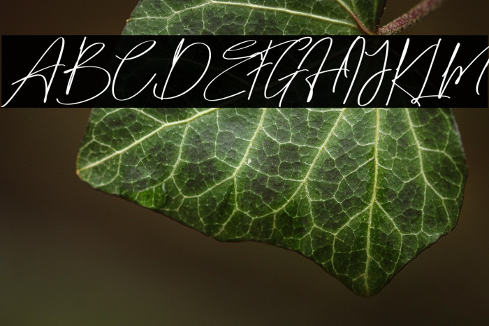 Matt Rostine Example 1