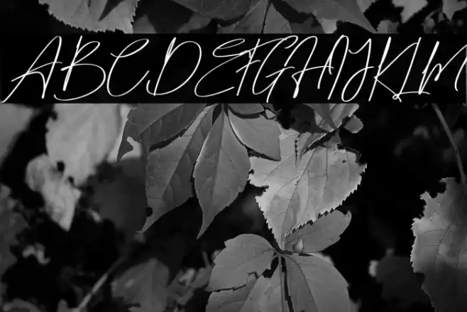 Matt Rostine Font examples