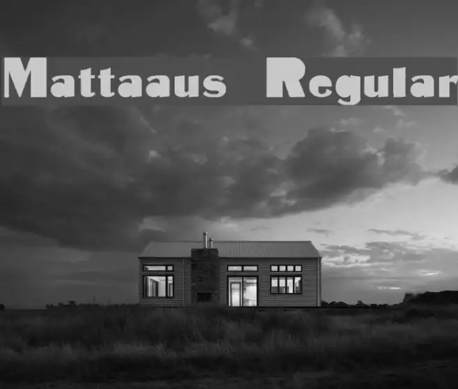 Mattaaus Regular Example 3