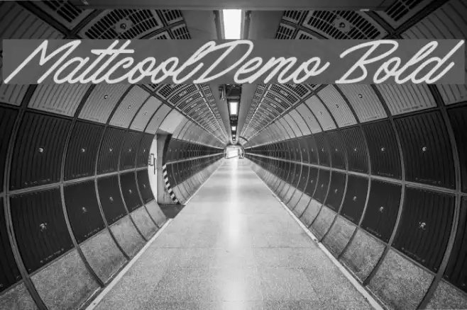 MattcoolDemo Bold Example 1