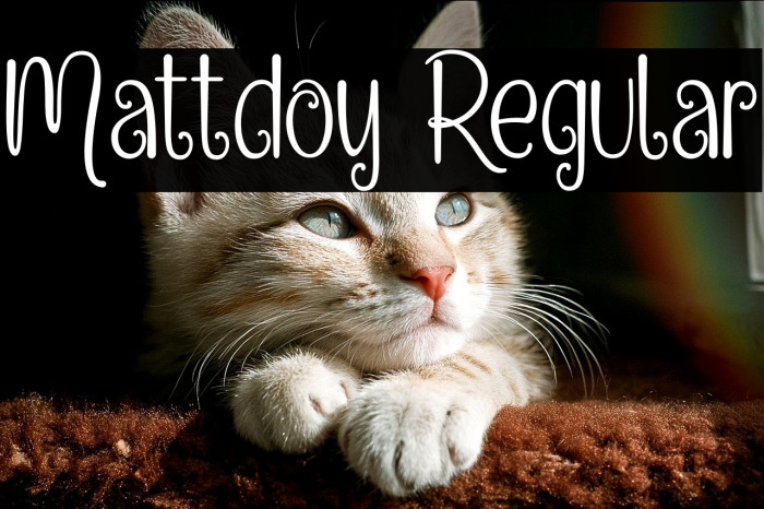 Mattdoy Regular Example 1