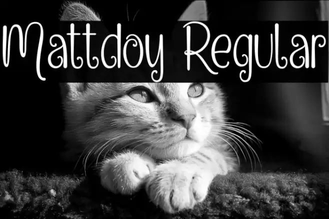 Mattdoy Regular Font examples