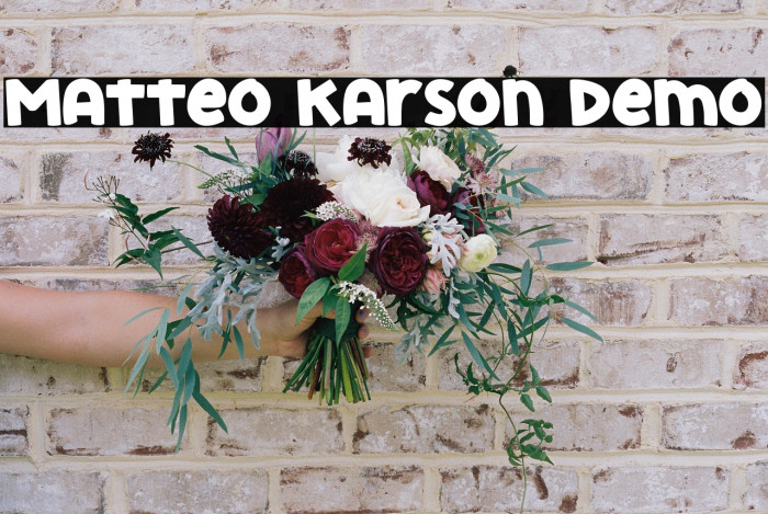 Matteo Karson Demo Example 1