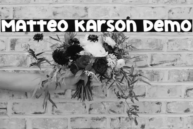 Matteo Karson Demo Font examples