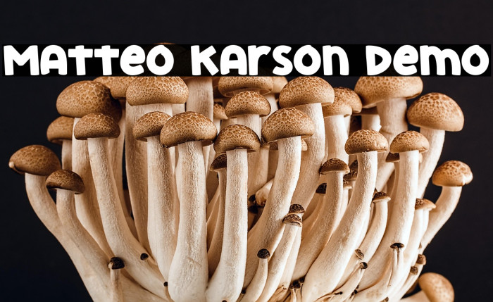 Matteo Karson Demo Example 3