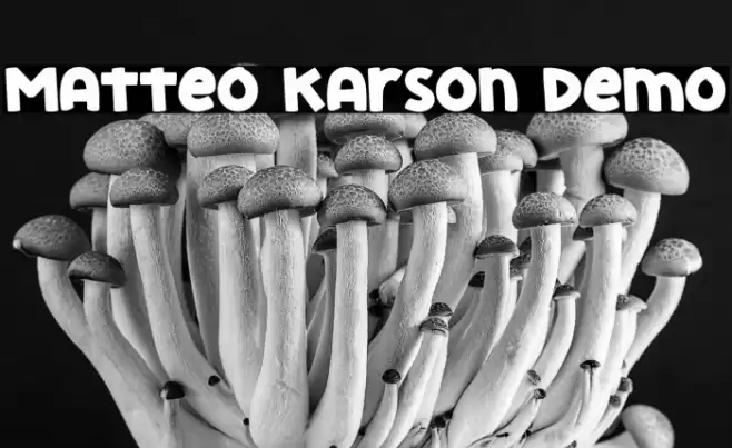 Matteo Karson Demo Font examples