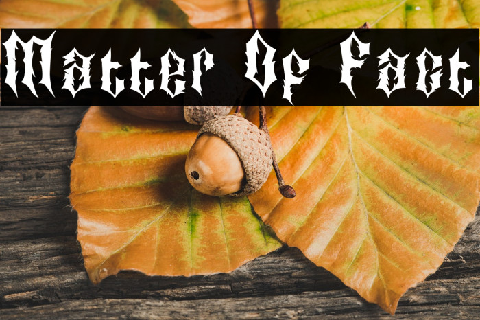 Matter Of Fact Example 1