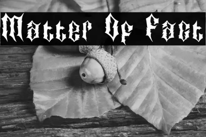 Matter Of Fact Font | Free Download (TTF/OTF) | FFonts.net