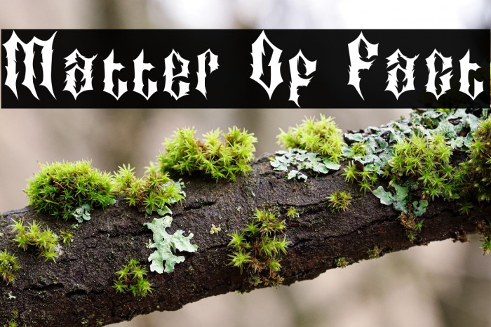 Matter Of Fact Example 2