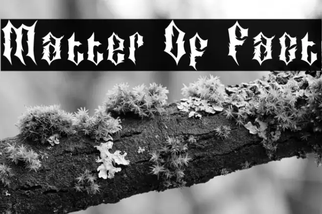 Matter Of Fact Example 2