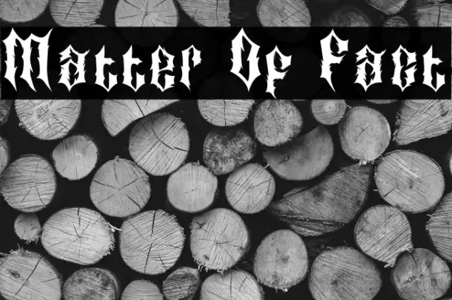 Matter Of Fact Example 3