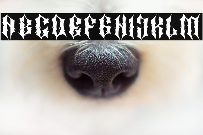 MatterOfFact Example 3