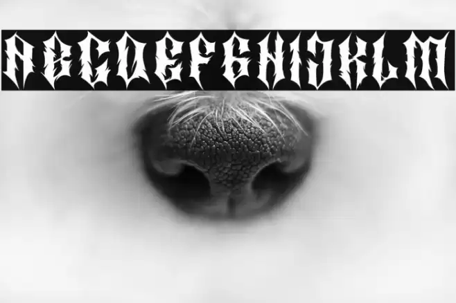 MatterOfFact Font examples