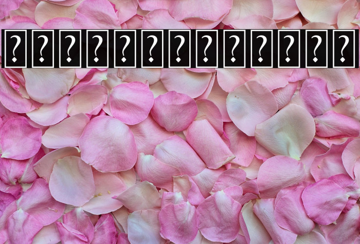 MatterOfFactOrnament Example 1