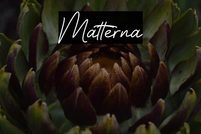 Matterna Fonte examples