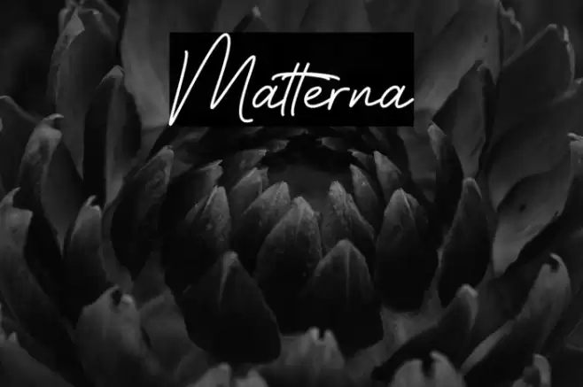 Matterna  examples