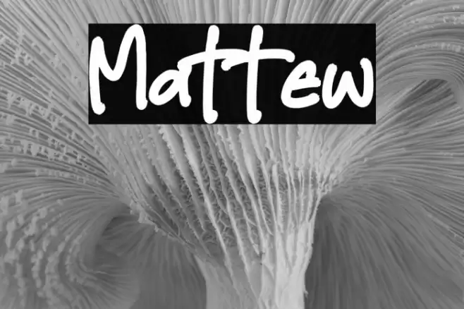 Mattew خط examples