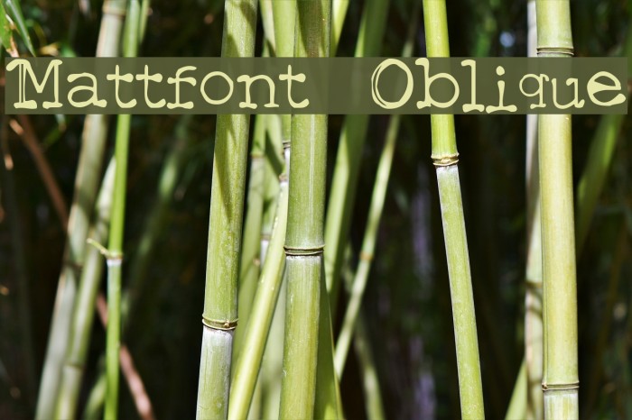 Mattfont Oblique Font examples