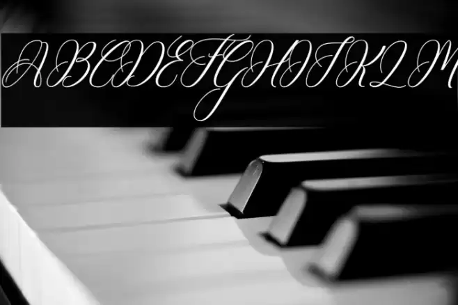 Matthew Font examples