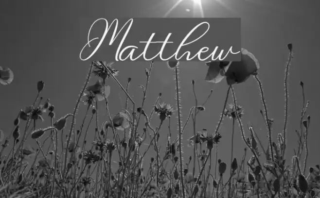 Matthew Font examples