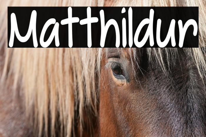 Matthildur Example 2