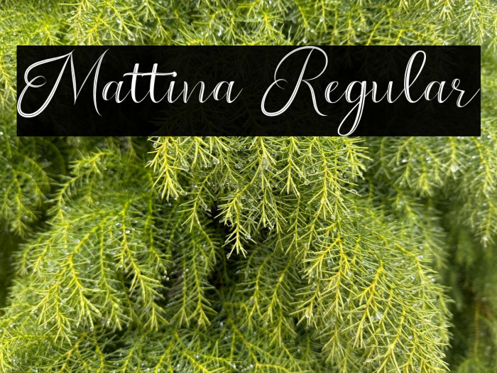 Mattina Regular Example 2