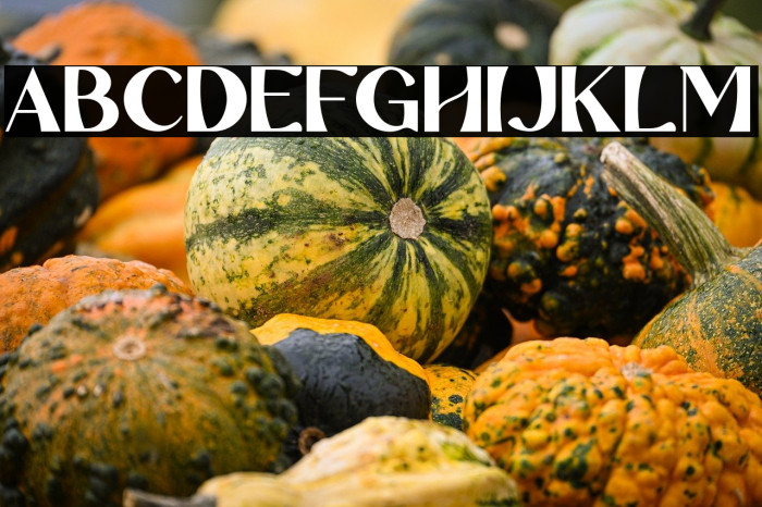 Mattire DEMO Example 1