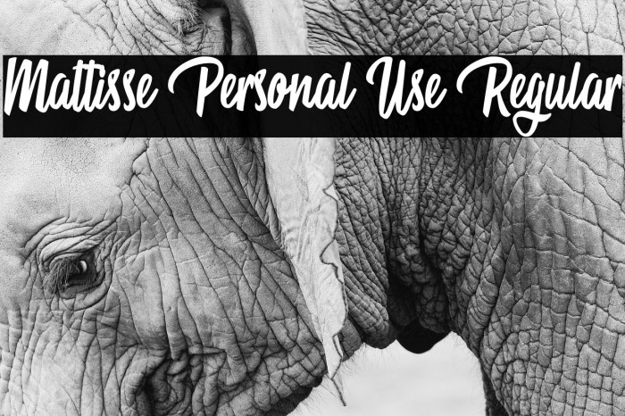 Mattisse Personal Use Regular Font examples