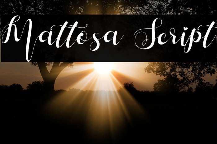 Mattosa Script Fonte examples